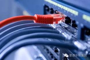 愛譜華頓彩色布線解決方案 助力信息系統高效運維